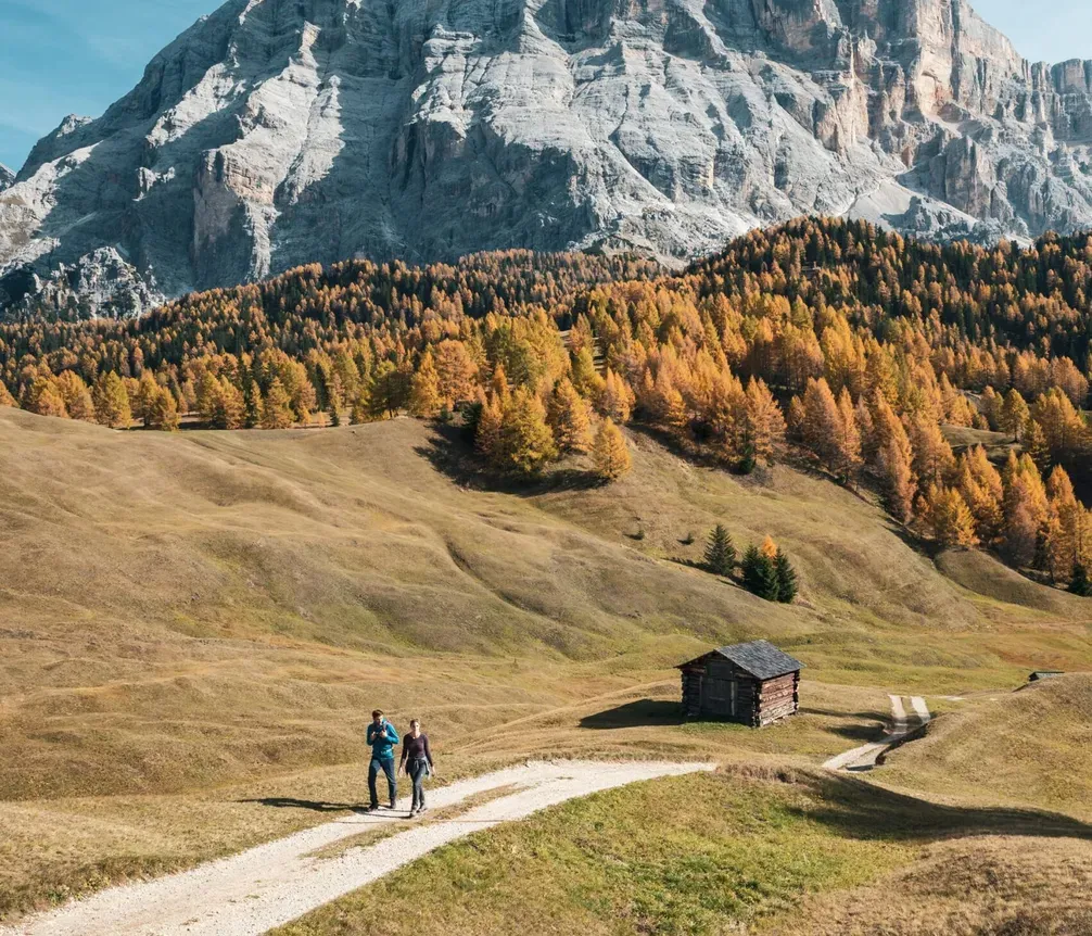 Two people walking on a trail through green hills, with a forest of autumn trees and majestic rocky mountains in the background in Alta Badia.